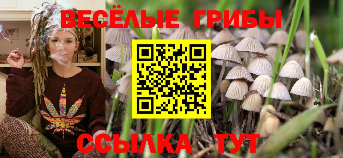 Усть-Илимск  Псилоцибиновые грибы прущие грибы  Вход с VPN 